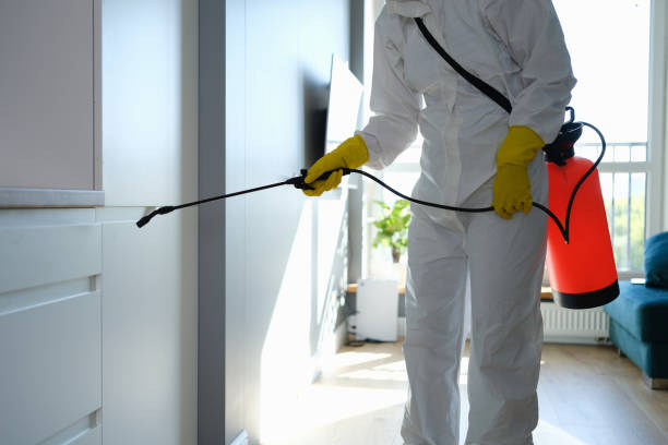 Best Toxic Mold Removal  in Mckinley, PA